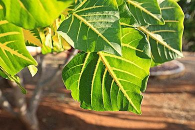 2023年国游销量榜发布 《猛兽派对》销量近200万